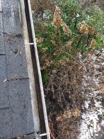 Clean Pro Gutter Cleaning Toms River image 3